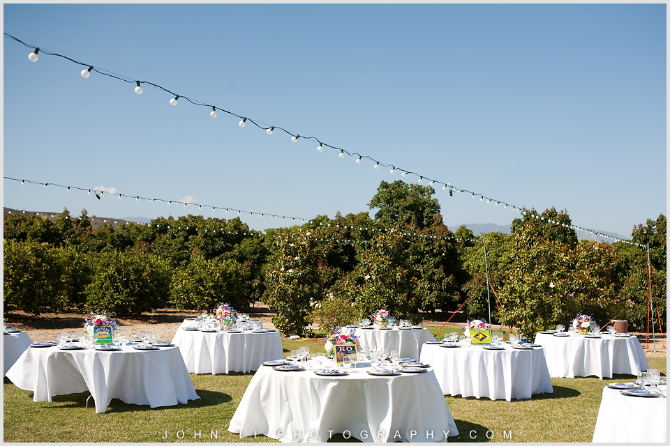 Santa Paula Limoneira Ranch Wedding reception ground outdoor wedding