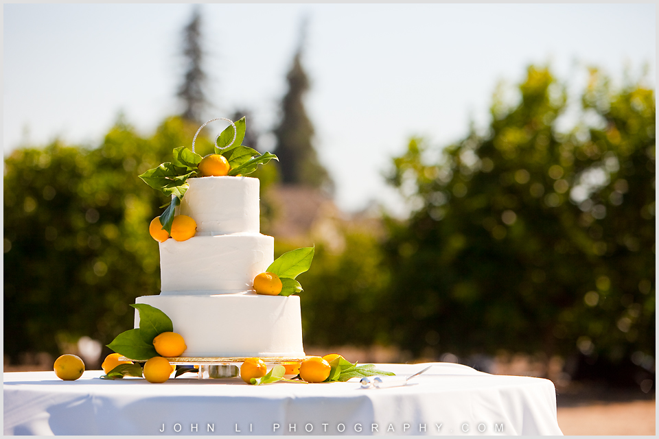  Limoneira Ranch wedding photos wedding cake