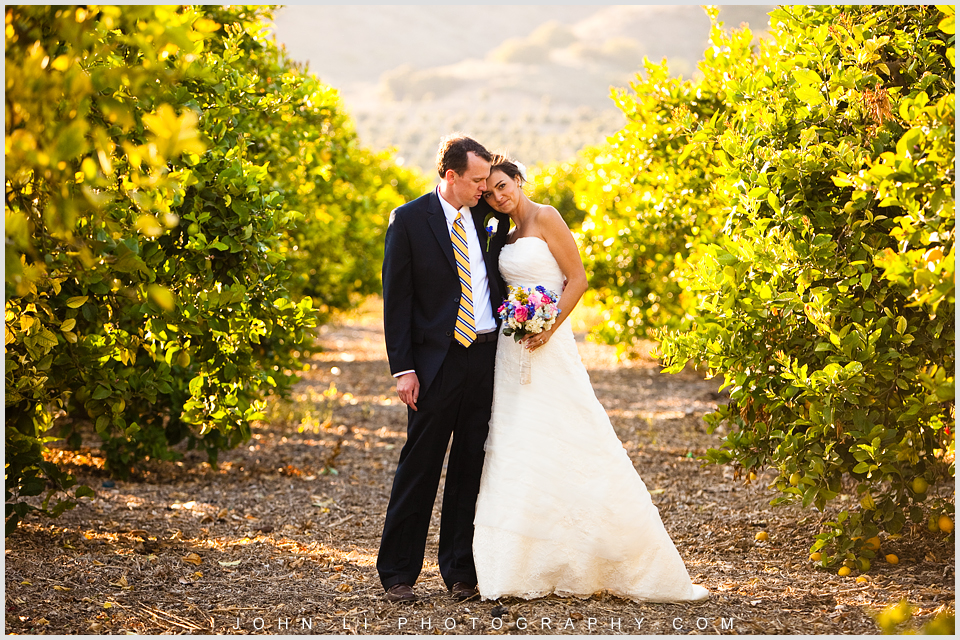  Limoneira Ranch wedding, bridal photos in Vineyard.