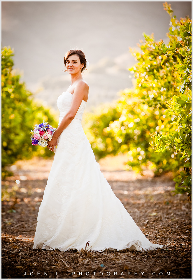  Limoneira Ranch wedding photos bride portrait   