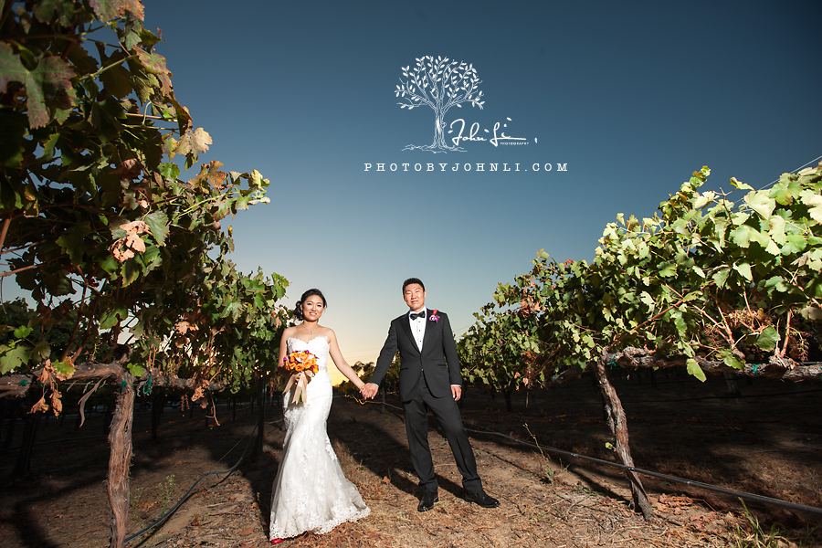 54 South Coast Winery & Resort Temecula Wedding photography